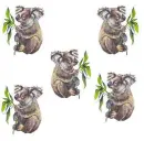 koala