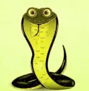 snake