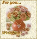 rosas in vase