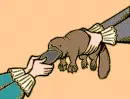 platypus