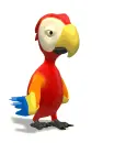 macaw
