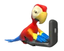 macaw with PC