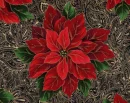 christmas flower