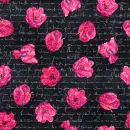 Pink tulips