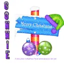 Connie - Hat - Pole - Ornaments - Snow