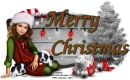 merry christmas sign
