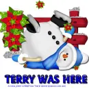 Terry - Christmas Flower - Ice Skate - Fence