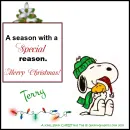 Terry - Snoopy and Woodstock - Lights