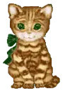 Cute Kitty