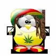 msn bob marley