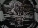 wolfs