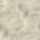 Design Background1