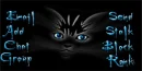 kitty