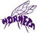 Deep Creek Hornets
