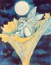 flower fairy