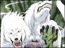double headed wolf