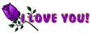 Purple Rose