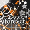 can't wait forever