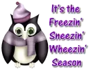 Cute Penguin 