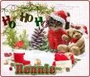 Rennie
