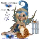 My Cat & Me - Merry Christmas - Bird - Fence