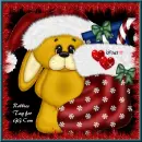 Christmas Kisses