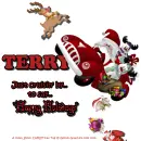 Terry - Santa - Snowman - Elf - Car - Toys
