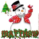 Matthew - Lights - CHRISTmas Tree - Snowman
