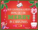 Our Granddaughters at Christmas 