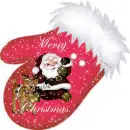 Merry Christmas Mitten
