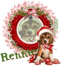 Rennie