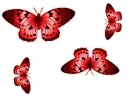 red butterflies