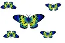 butterflies