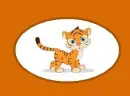 baby tiger