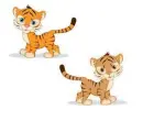 2 baby tiger