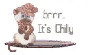 Brrr.. Cold Kitty