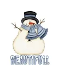 Beautifull Snowman