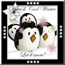 Cool Winter