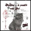 Mel - Anything Is Possible - Cat - Bird Cage