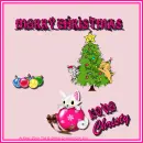 Christy - Merry CHRISTmas - Tree - Ornaments