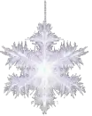 SNOWFLAKE
