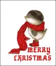 MERRY CHRISTMAS BIRD