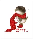 Glitter Bird., Brrr..