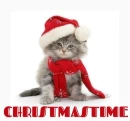 CHRISTMASTIME KITTY