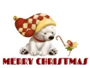 MERRY CHRISTMAS POLAR BEAR & FAIRY