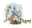 BirdXmas_Pami