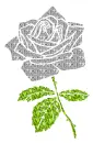 rose