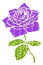 rose