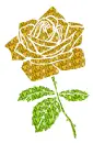 rose