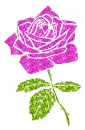rose